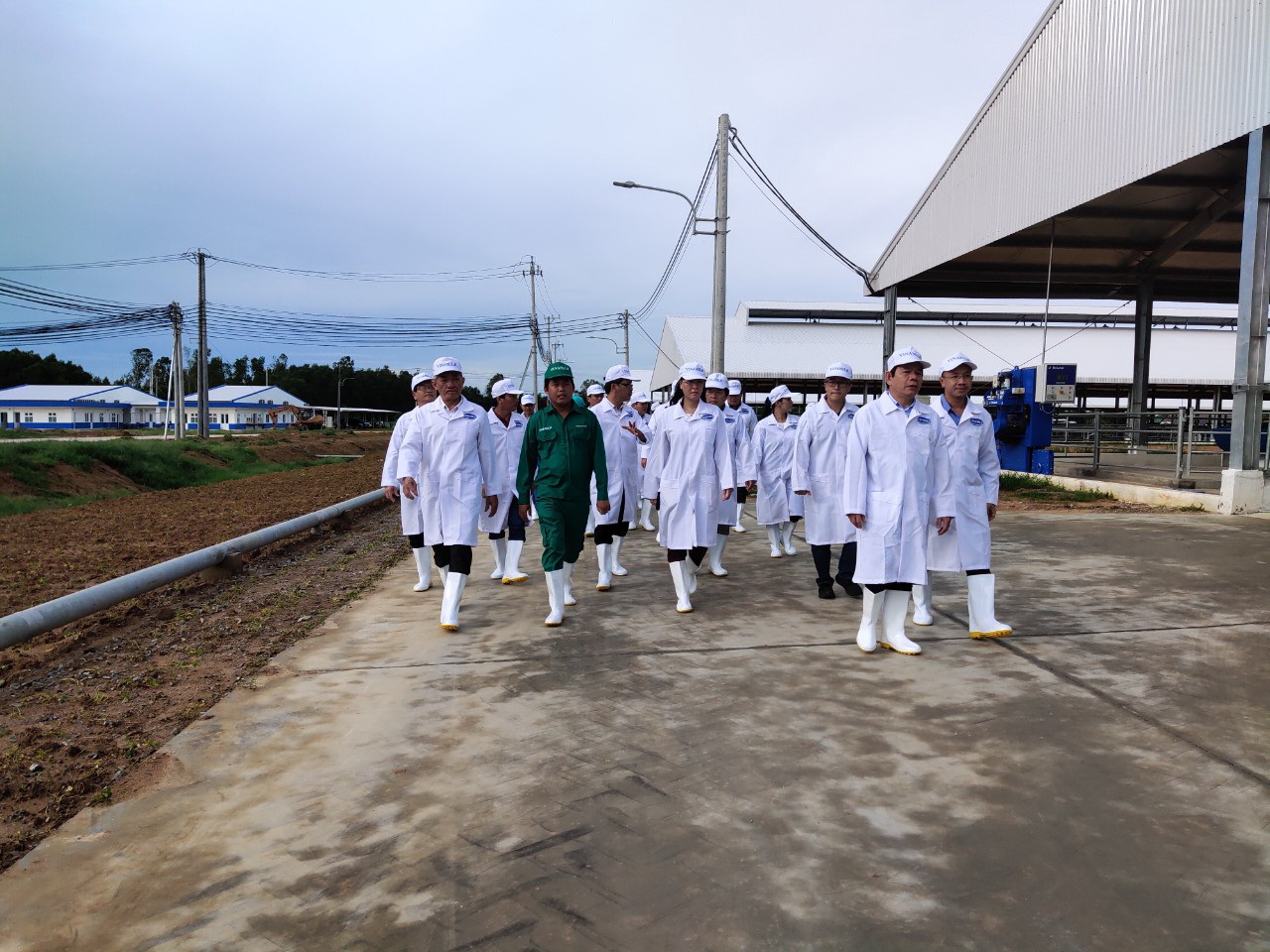 Mộ Đức- Lãnh đạo tỉnh, huyện thăm trang trại bò sữa Vinamilk Quảng Ngãi