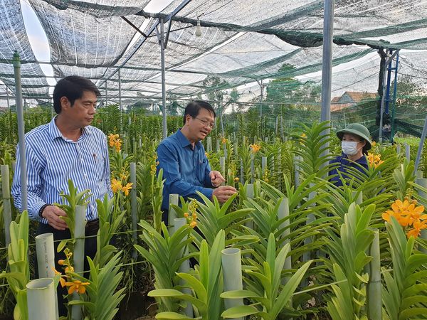 Chủ tịch UBND huyện thăm mô hình trồng hoa lan ở xã Đức Phong