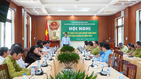 Mộ Đức: Tổng kết công tác Lâm nghiệp năm 2024 và triển khai nhiệm vụ năm 2025