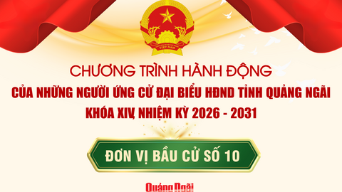 [Infographic]. Chương trình hành động của những người ứng cử đại biểu HĐND tỉnh Quảng Ngãi khoá XIV, nhiệm kỳ 2026 - 2031 tại Đơn vị bầu cử số 10