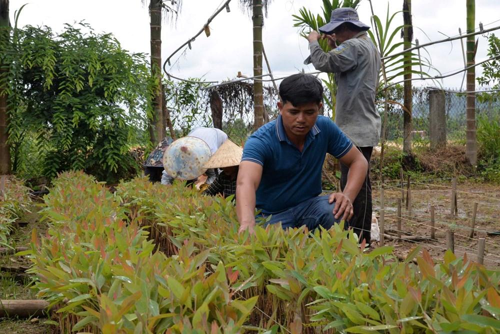 Nâng cao giá trị kinh tế từ nguyên liệu địa phương ở xã Mộ Đức - ảnh 3