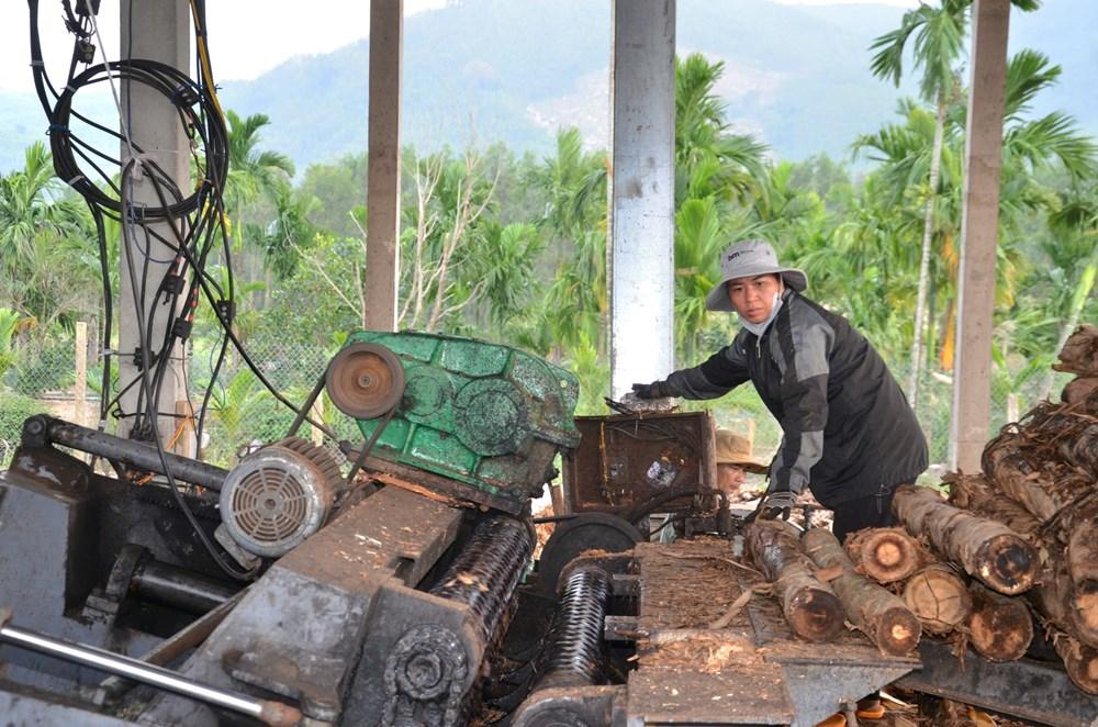 Nâng cao giá trị kinh tế từ nguyên liệu địa phương ở xã Mộ Đức - ảnh 1