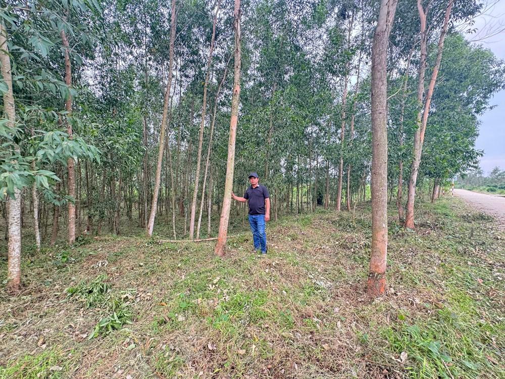 Nâng cao giá trị kinh tế từ nguyên liệu địa phương ở xã Mộ Đức - ảnh 4