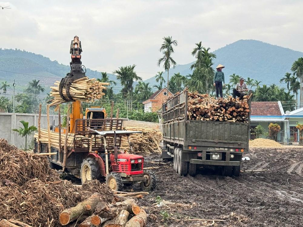 Nâng cao giá trị kinh tế từ nguyên liệu địa phương ở xã Mộ Đức - ảnh 5